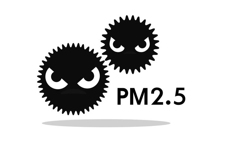 Bụi mịn PM2.5 là gì? Cách phòng tránh bụi mịn PM2.5 hiệu quả?
