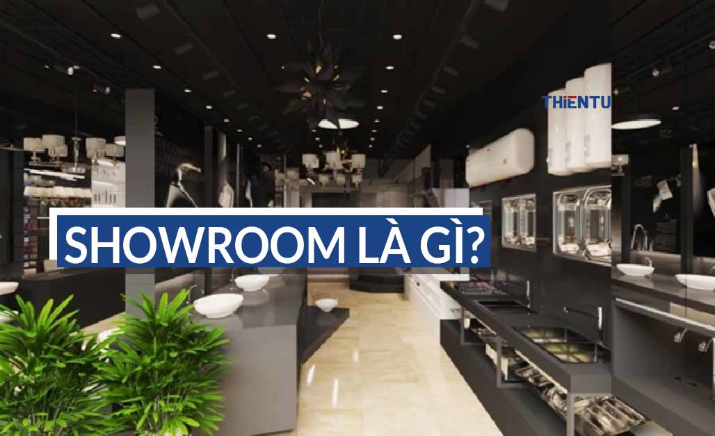 Showroom là gì? Xu hướng thiết kế showroom 5s đang được đón nhận