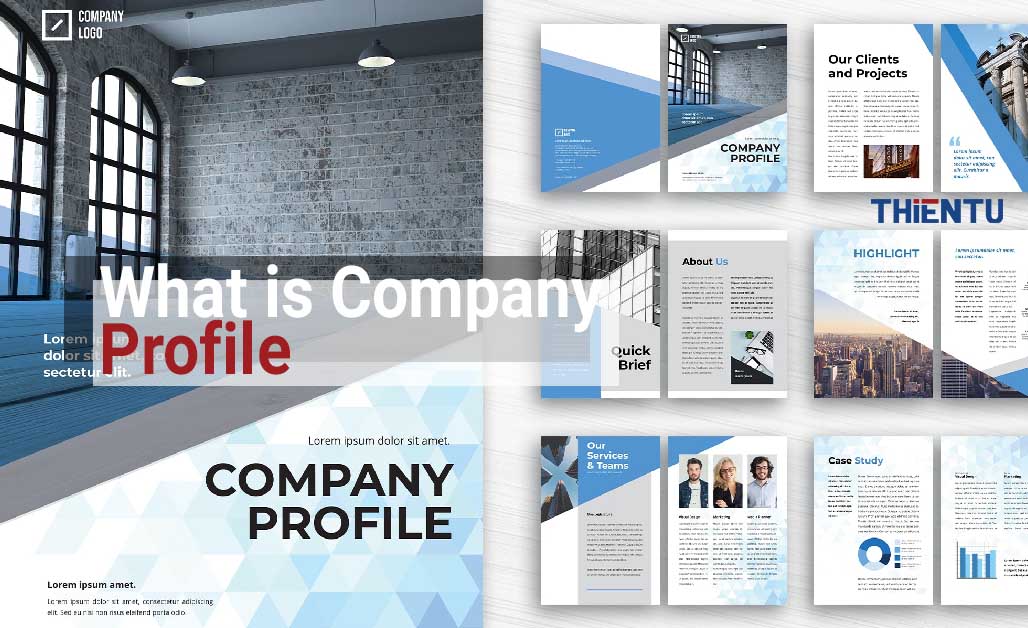 Company Profile Là Gì? Cách Phân Biệt Company Profile Và Brochure