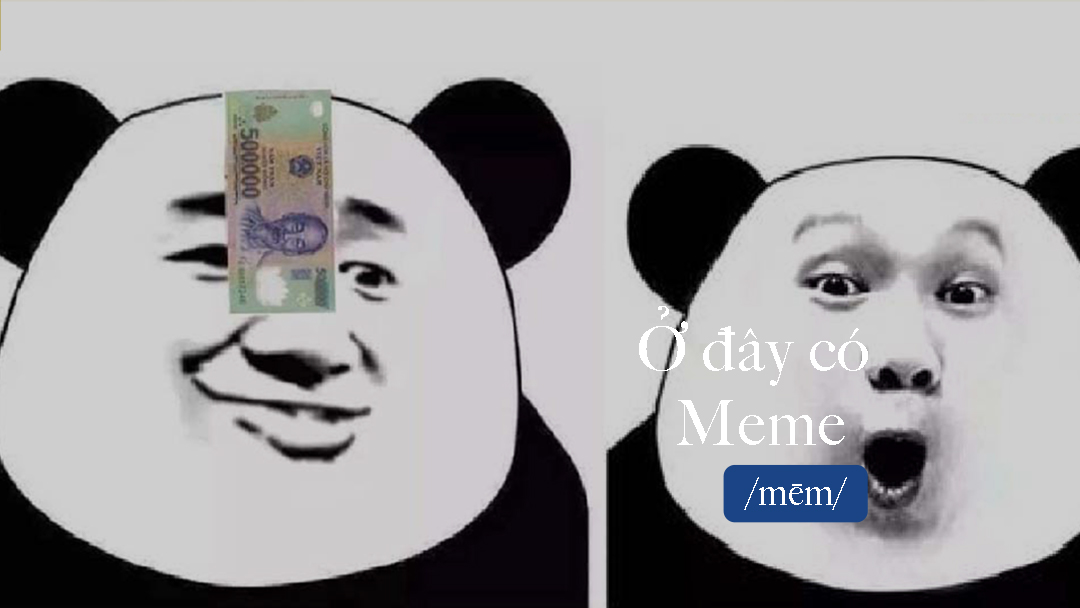 Panda meme: Tổng hợp vui nhất về gấu trúc Weibo Biaoqing là gì