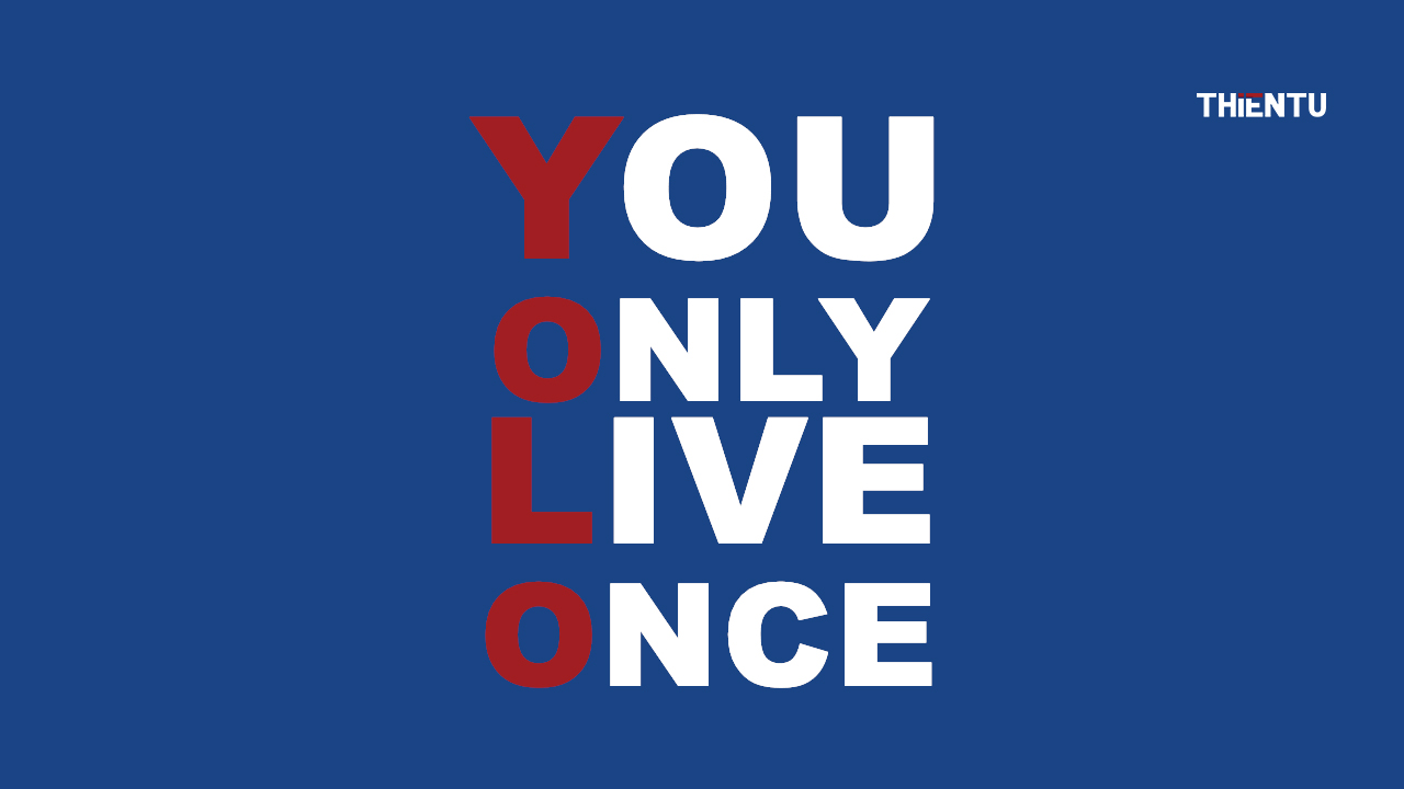 yolo you only live once